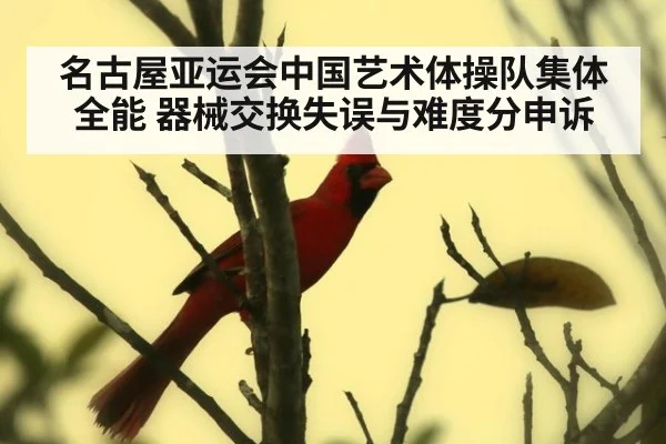 名古屋亚运会中国艺术体操队集体全能 器械交换失误与难度分申诉